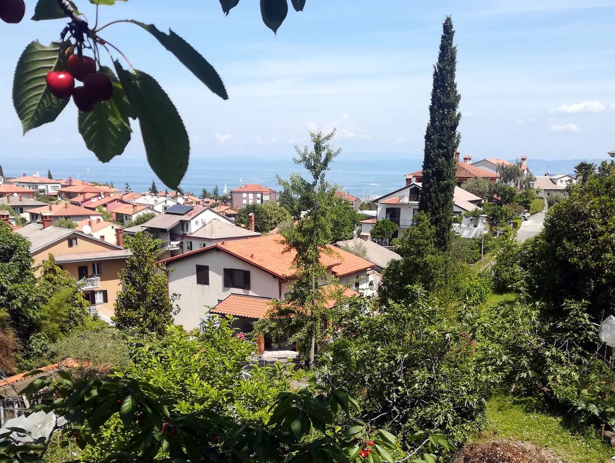 Seaside Parenzana Comfort With Free Parking Izola Kültér fotó